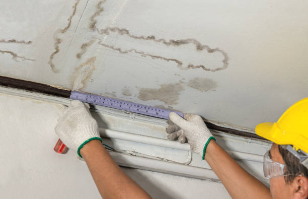 Reliable Sewage Cleanup contractor in Coloma, MI by Water Damage Irwin